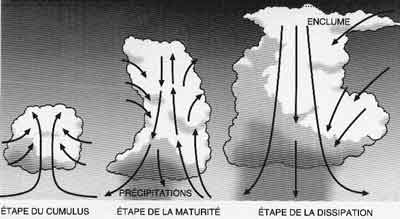 Schéma des trois phases